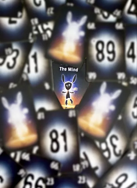 The Mind 3 The Mind