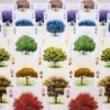 Arboretum