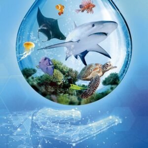 Ark Nova: Mundo Marino