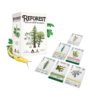 Reforest: Plantas de la Costa Noroeste del Pacífico