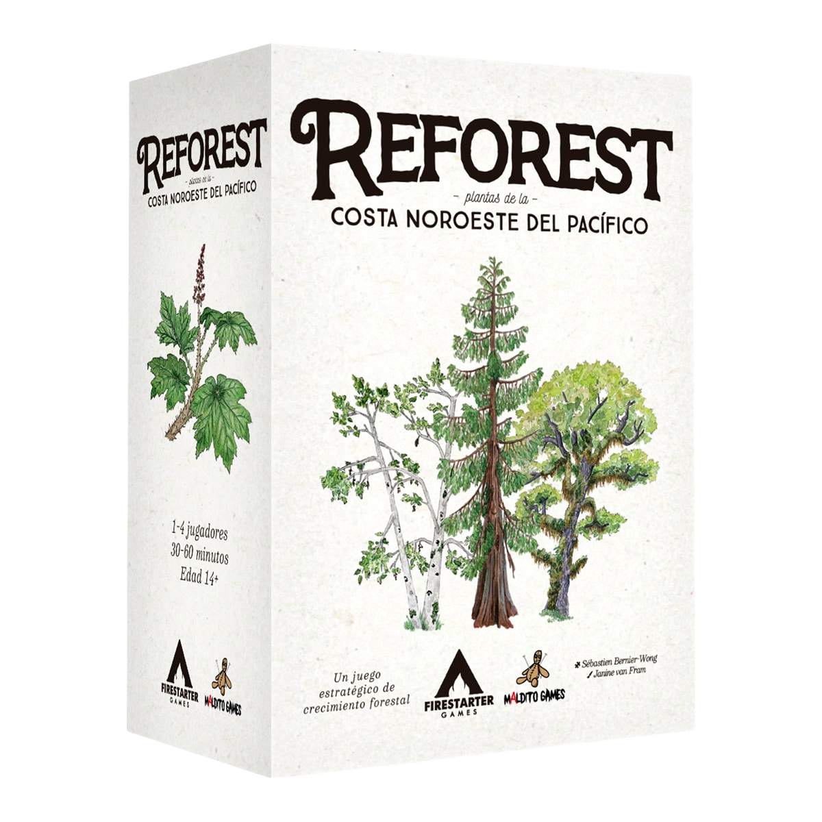 Reforest: Plantas de la Costa Noroeste del Pacífico